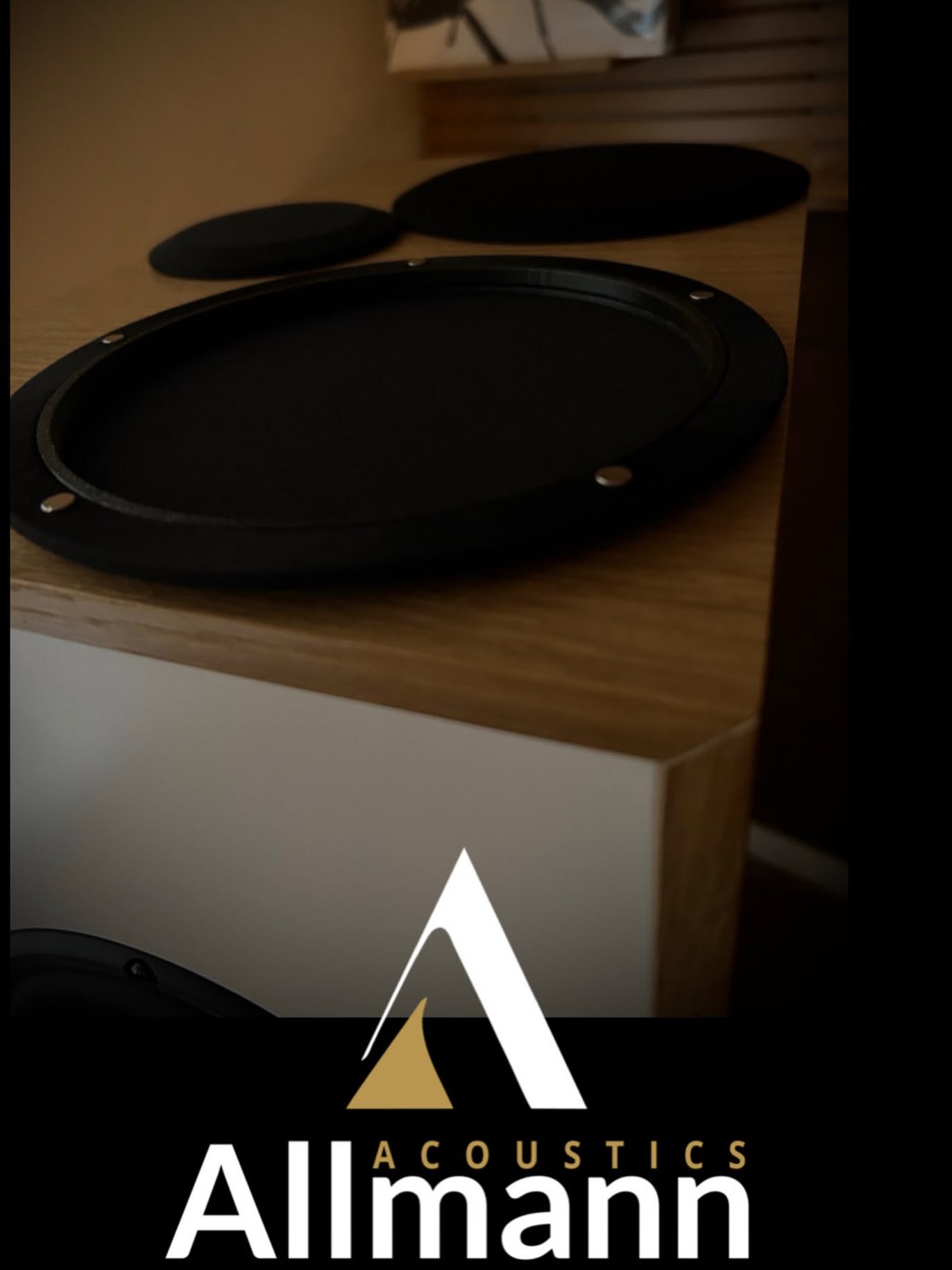 Allmann Acoustics – Lautsprecherchassis auf einem Gehäuse aus Eiche